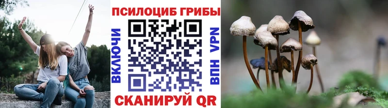 мориарти клад  Вышний Волочёк  Псилоцибиновые грибы мухоморы 